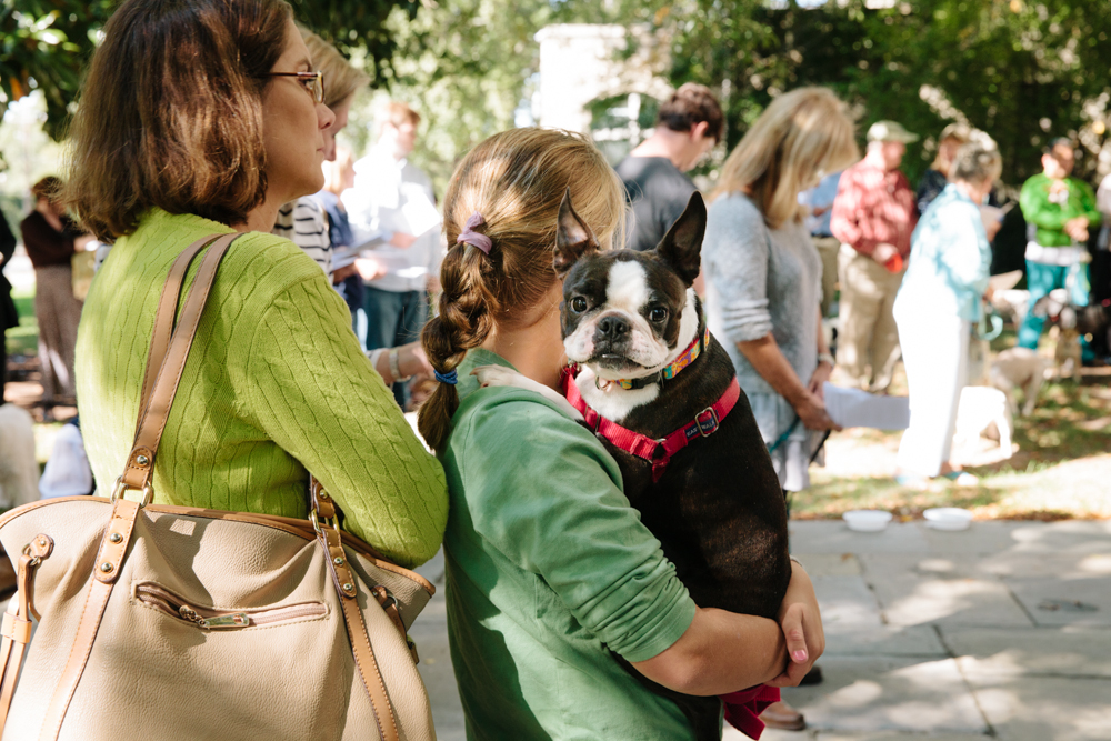 bganske_website_animalblessing_002