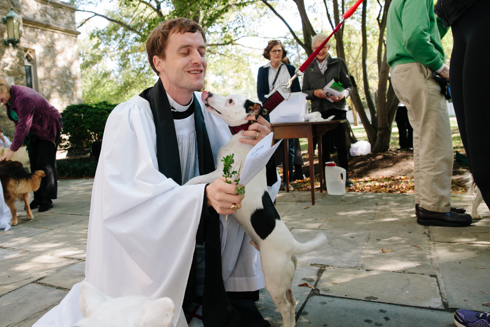 bganske_website_animalblessing_005