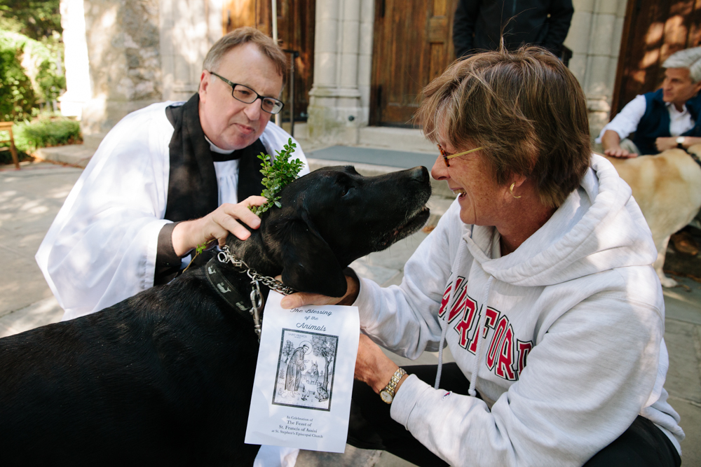 bganske_website_animalblessing_007